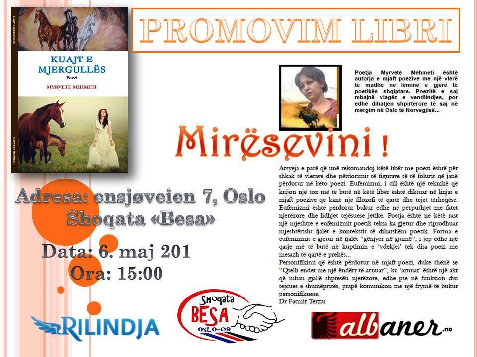 Promovim libri në Shoqatën Besa në Oslo